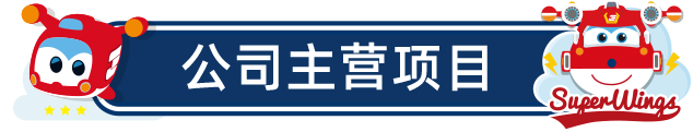 公司主营项目
