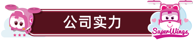 公司实力
